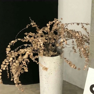 Furry绘画色彩搭配兽圈社群